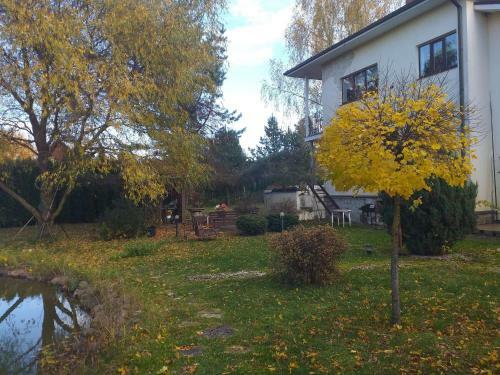 Agroturismo Guest House Pechersky & Sons