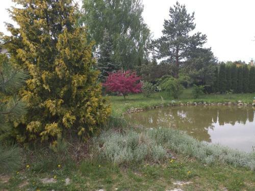 Agroturismo Guest House Pechersky & Sons