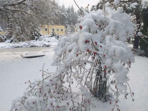 Agroturismo Guest House Pechersky & Sons