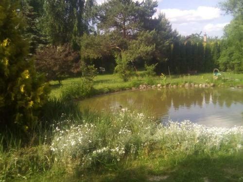Agroturismo Guest House Pechersky & Sons