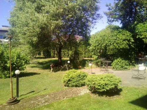 Agroturismo Guest House Pechersky & Sons