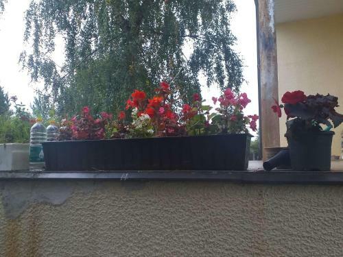 Agroturismo Guest House Pechersky & Sons