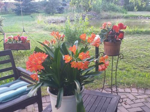 Agroturismo Guest House Pechersky & Sons