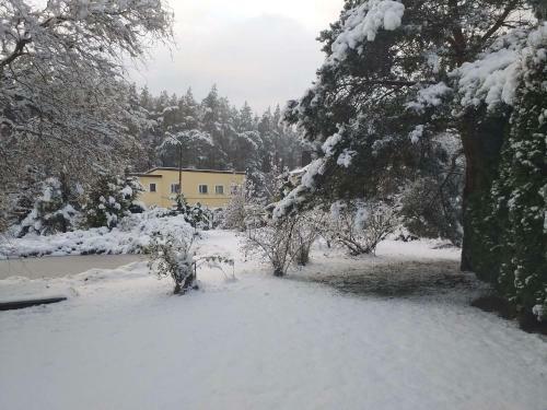 Agroturismo Guest House Pechersky & Sons