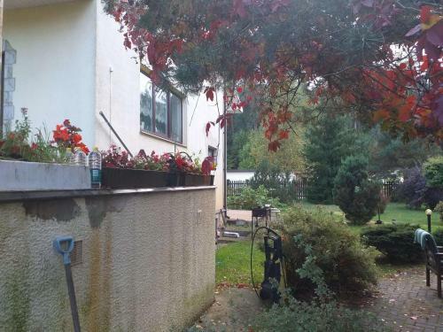 Agroturismo Guest House Pechersky & Sons