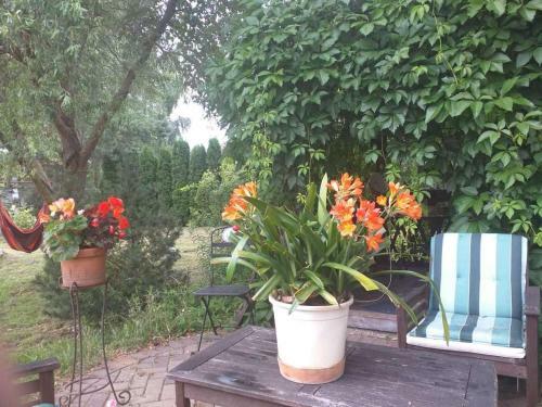 Agroturismo Guest House Pechersky & Sons