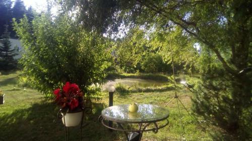 Agroturismo Guest House Pechersky & Sons