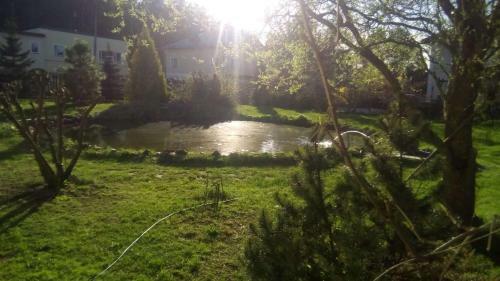 Agroturismo Guest House Pechersky & Sons