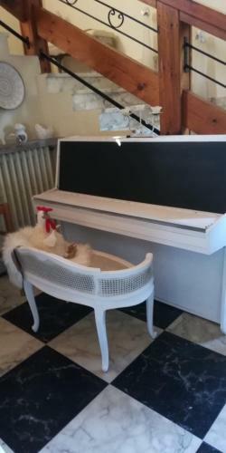 Bed & Breakfast La Gallina Nel Castello
