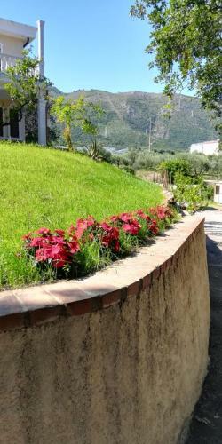Bed & Breakfast La Gallina Nel Castello