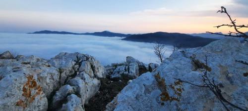 Bed & Breakfast La Gallina Nel Castello