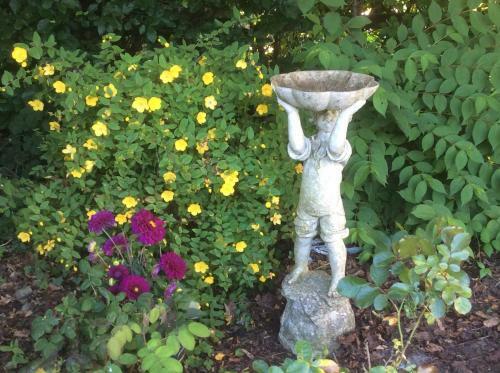 Seven Oaks B&B