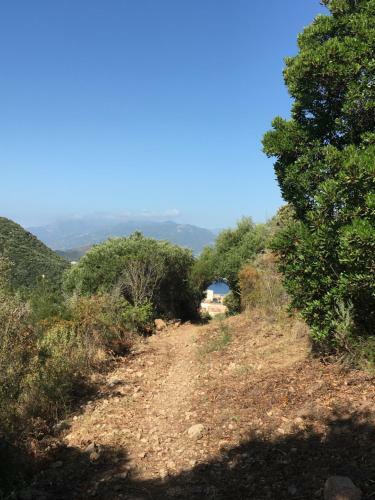 Apartamento Ajaccio Centre 80m2 Avec Balcons