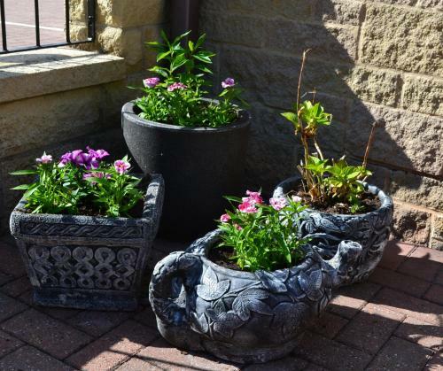 Castle Green B&B