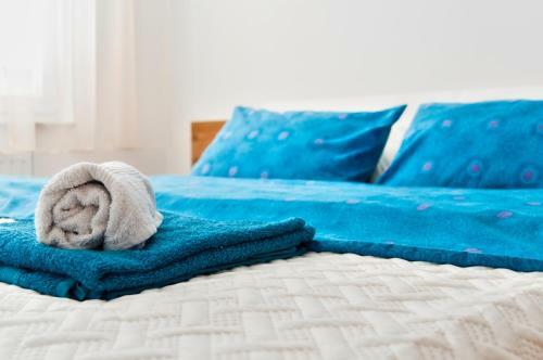 Apartamentos Zen Voyage