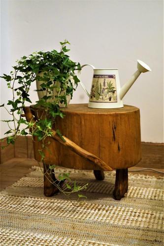 Momo's Studio Apartment Zagreb