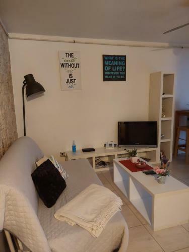 Studio Concept Apartment
