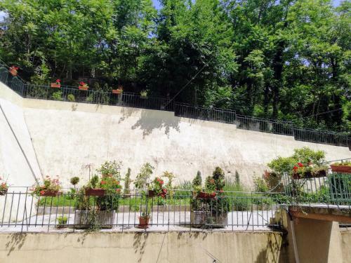 Amalia Apartments