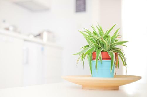 Apartamentos Maksimir-rebro