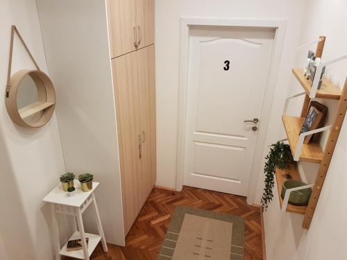 Apartment Saraga Centre 3