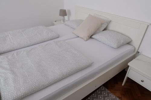 Apartment Saraga Centre 3
