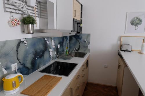 Apartment Saraga Centre 3