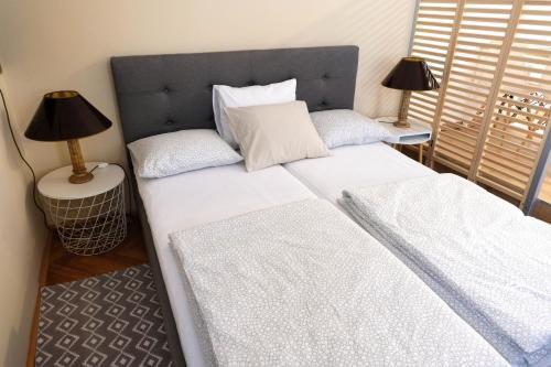 Apartment Saraga Centre 2