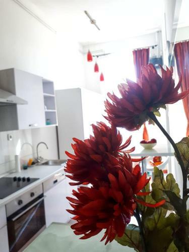 Apartment Zrinjevac