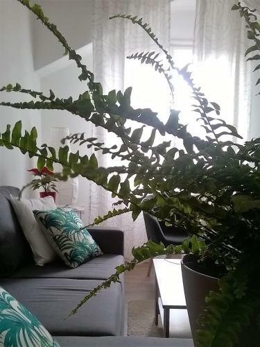 Apartamento Center 23 - Old Town