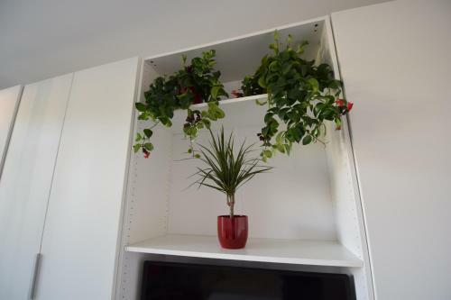 Apartments Abelija