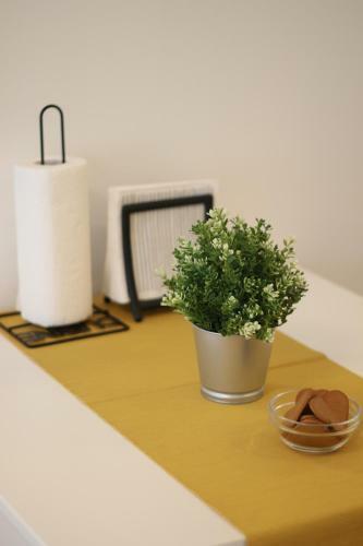 Apartamento Studio Start
