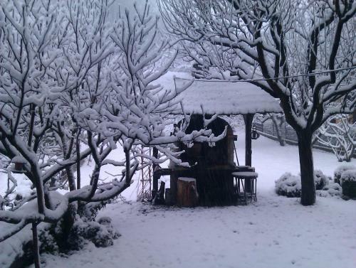 Apartamento Apple Tree