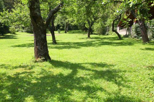 Apartamento Apple Tree