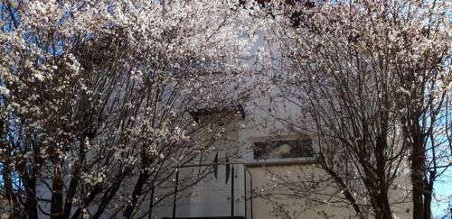 Apartamento Apple Tree