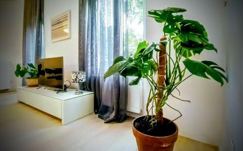 Parklife Zagreb Apartments