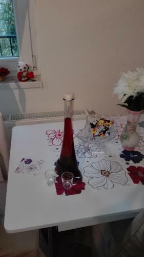 Studio Apartman Dinko Zagreb