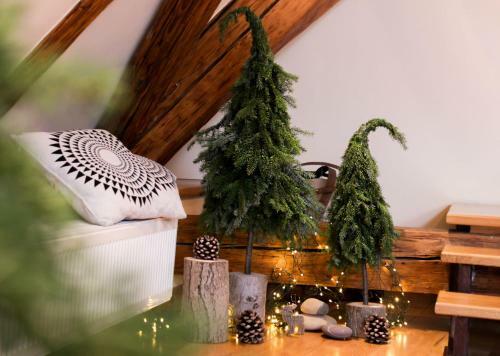 Apartamento The Gri? Eco Castle