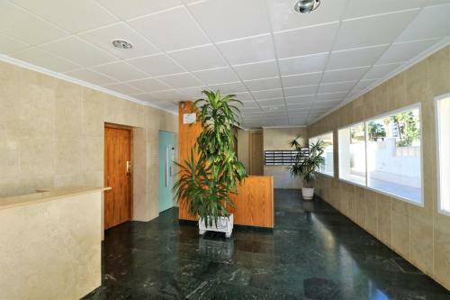 Apartamento Niza 2-a