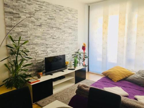 Apartments With Wifi Zagreb - 16456