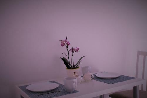 Apartment Mallinova