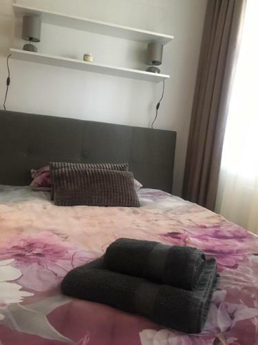 Apartment Queen
