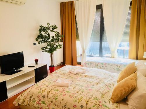 Apartments With Wifi Zagreb - 16284