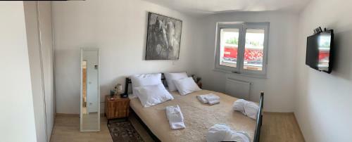 Apartamentos Zara Luxury