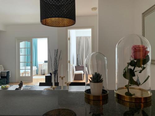 Apartment Galleria