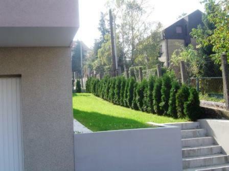 Apartmani Almica
