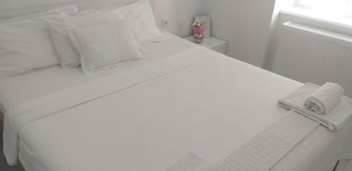Main Square Shine Apartment