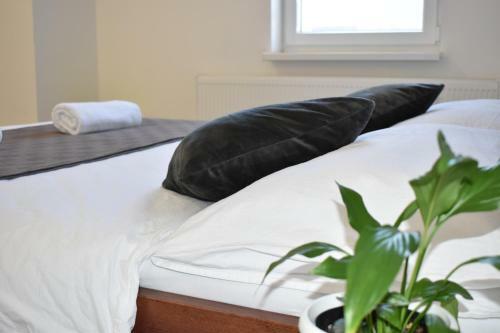 Apartamento Room & 4 Studios - Modern Comfy Central - Free Netflix