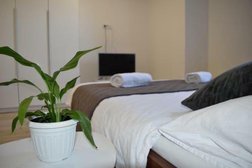 Apartamento Room & 4 Studios - Modern Comfy Central - Free Netflix