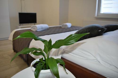 Apartamento Room & 4 Studios - Modern Comfy Central - Free Netflix