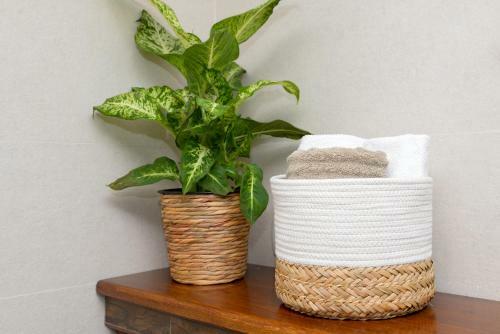 Apartamento Dreamy Garden Zagreb